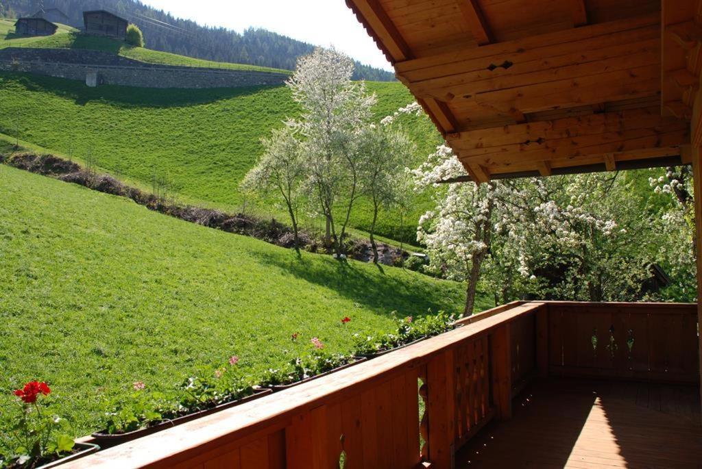 Blaserhof Hainzenberg Dış mekan fotoğraf