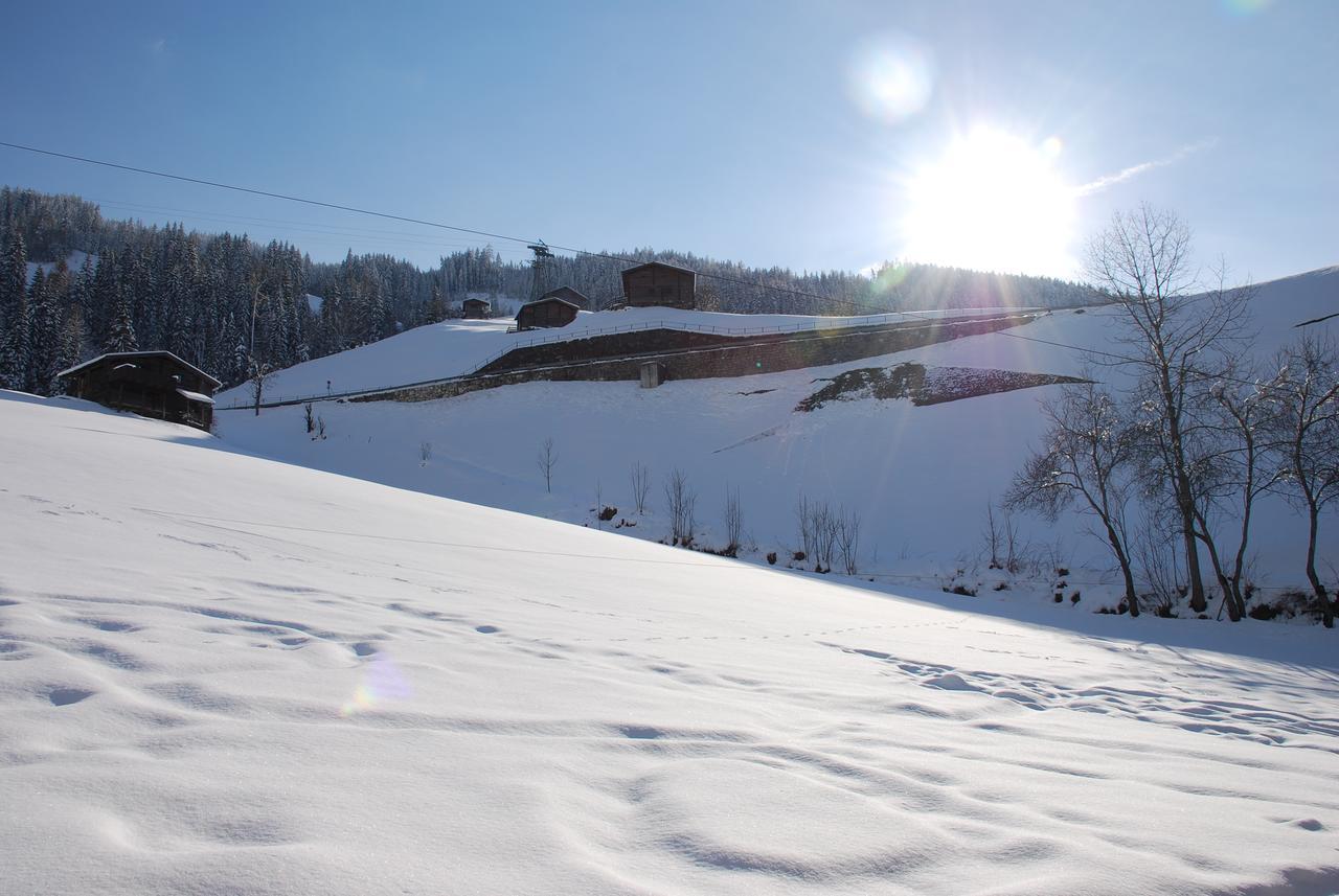 Blaserhof Hainzenberg Oda fotoğraf